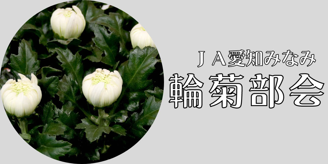 輪菊部会